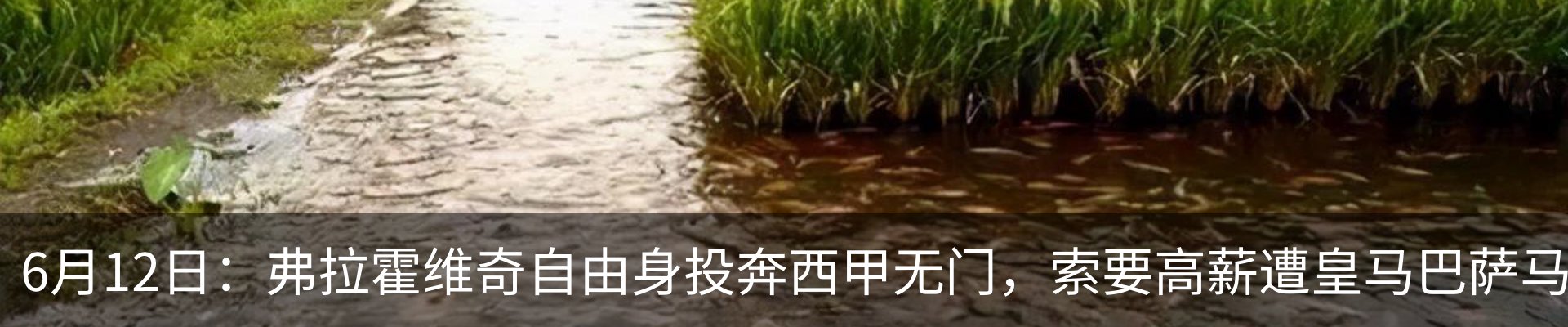 资讯动态