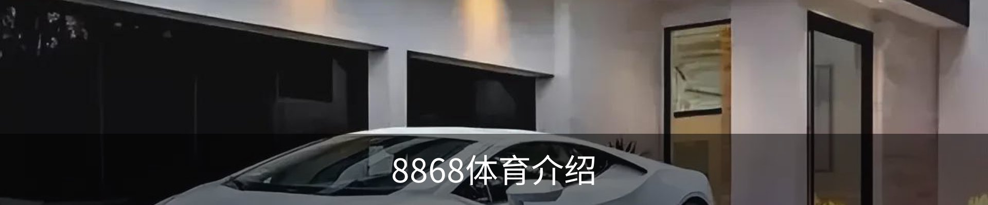 8868体育介绍